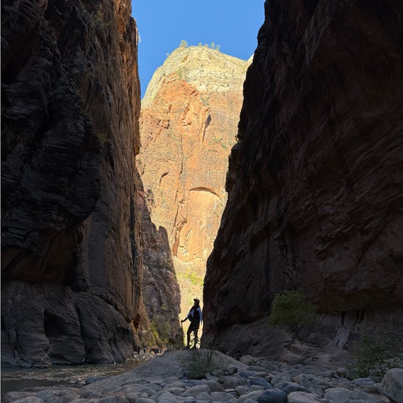 Meet your Posher, Chelsea Kim - Picture 2 of 2